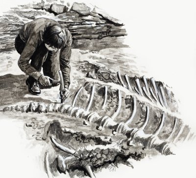 In den Tagen der Dinosaurier: Kampf der Giganten von English School