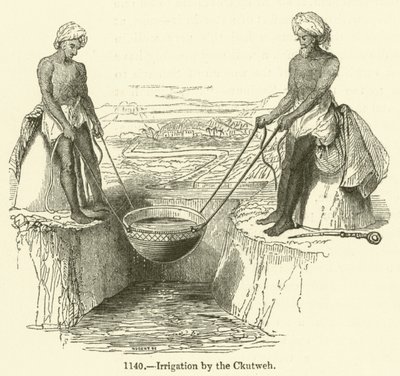 Bewässerung durch den Ckutweh (Stich) von English School