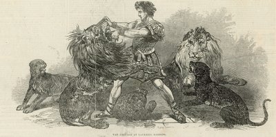 Isaac van Amburgh in den Vauxhall Gardens von English School