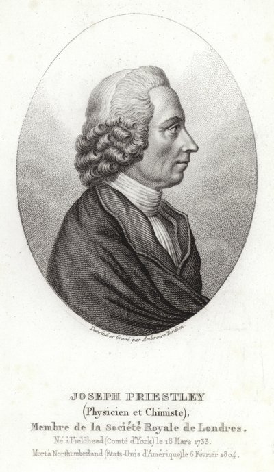 Joseph Priestley von English School