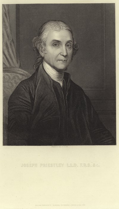 Joseph Priestley von English School