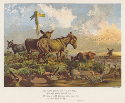 Landschaft mit Eseln und Vögeln (Farblithografie) von English School