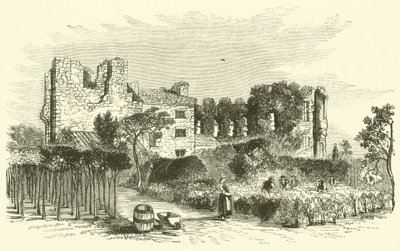 Leicester Abtei (Stich) von English School