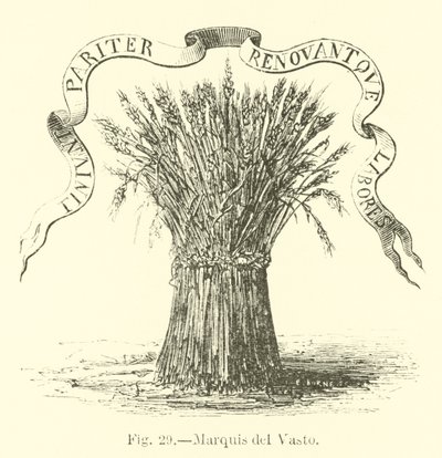 Marquis del Vasto von English School