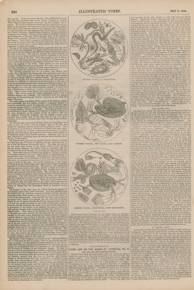 Mikroskopische Bilder von Wasser von English School