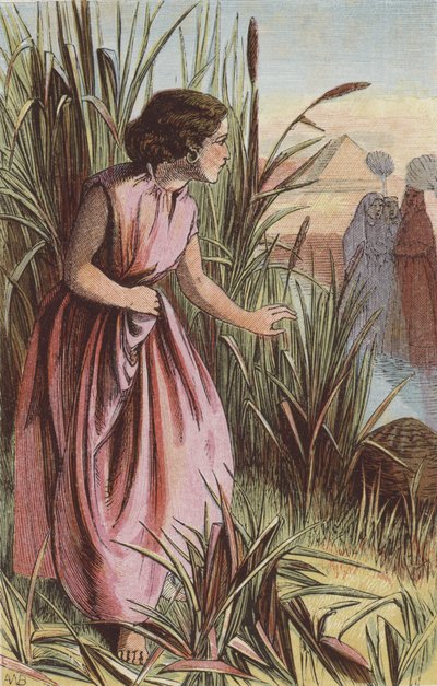 Miriam beobachtet die Arche von English School