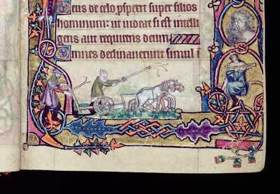 Ms 1-2005, ff.76v-77r: David und der Narr, historisierte Initiale aus dem Macclesfield Psalter, Gebrauch von Sarum, Ostanglien, um 1330 (Detail) von English School