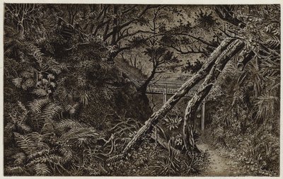 Mulgrave Woods, in der Nähe von Whitby von English School