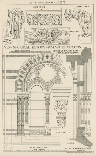 Neues Naturhistorisches Museum, South Kensington, London von English School