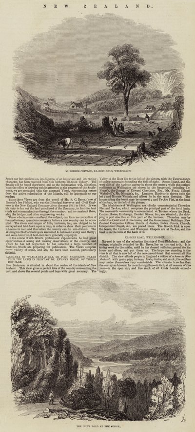 Neuseeland (Gravur) von English School
