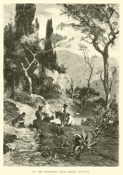 Auf der Halbinsel in der Nähe von Sestri Levante von English School