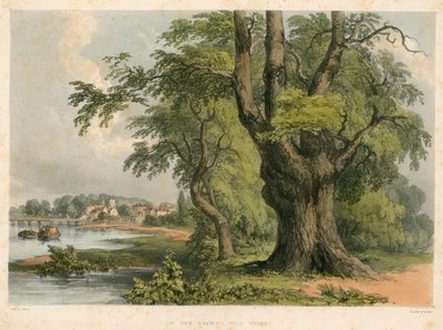 Auf der Themse, nahe Putney, London von English School
