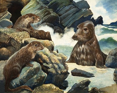 Otter und Walross von English School