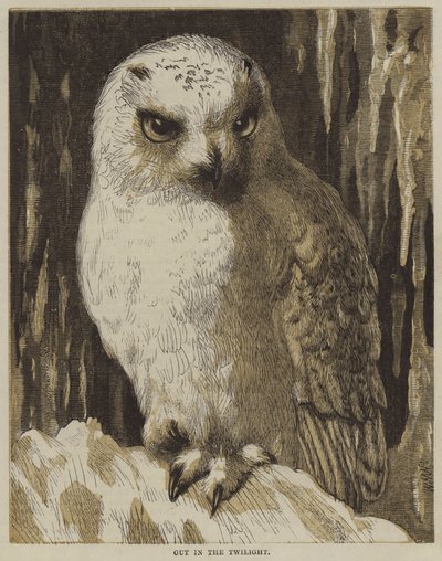 Draußen in der Dämmerung (Gravur) von English School