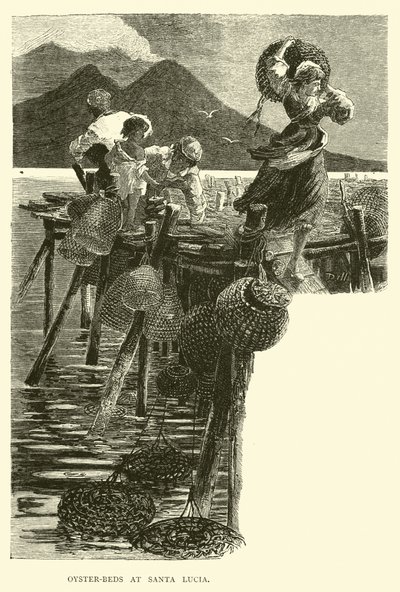 Austernbänke bei Santa Lucia von English School