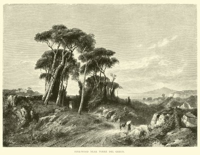 Pinienwald bei Torre del Greco von English School