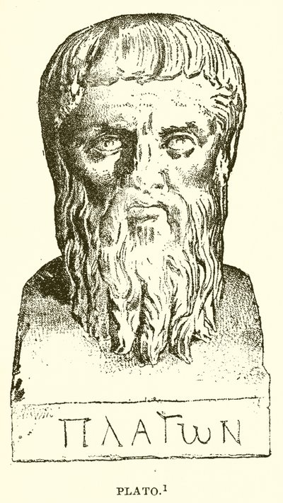Platon von English School