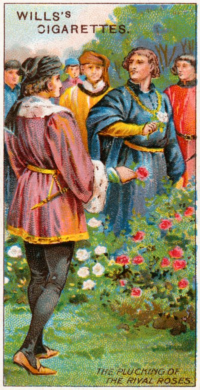 Das Pflücken der rivalisierenden Rosen von English School