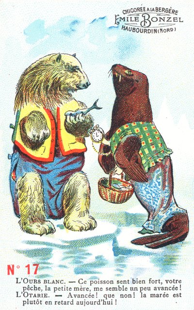 Eisbär und Robbe von English School