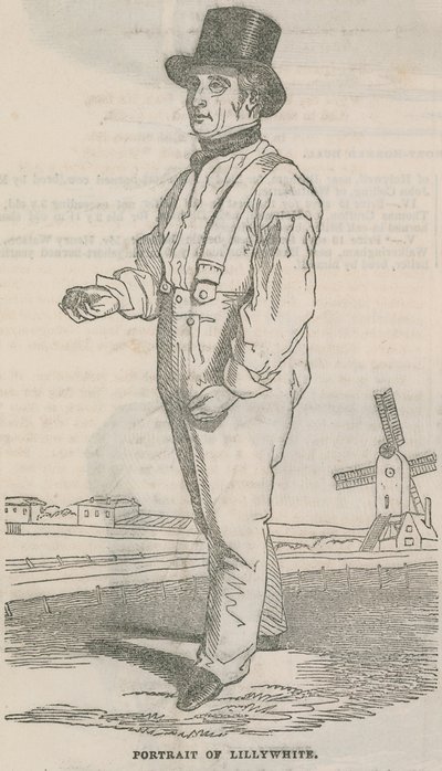 Porträt von Lillywhite von English School