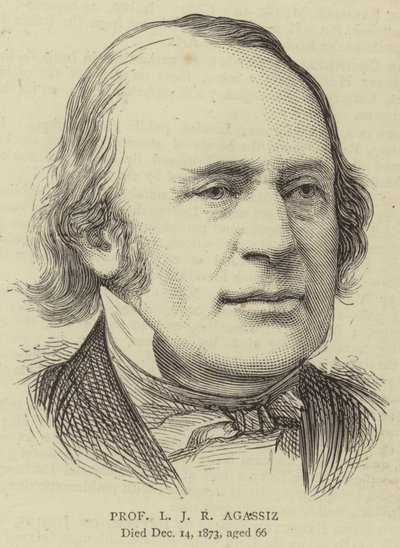 Professor L J R Agassiz (Stich) von English School