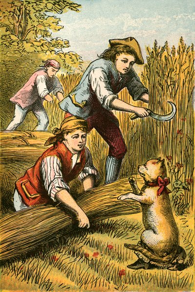 Puss bedroht die Schnitter von English School