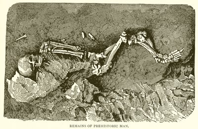 Überreste des prähistorischen Menschen von English School
