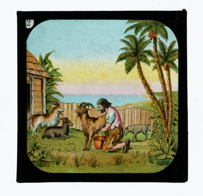 Robinson Crusoe von English School