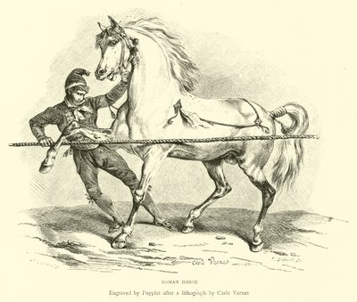 Römisches Pferd von English School