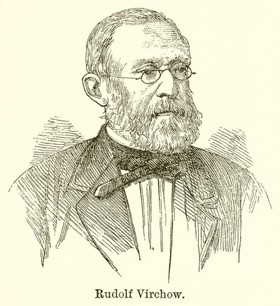 Rudolf Virchow von English School
