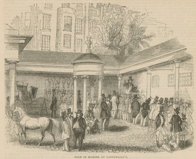 Pferdeverkauf bei Tattersalls von English School