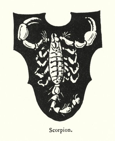 Skorpion (Gravur) von English School