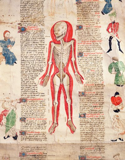 Skelett, aus De arte phisicali e de cirugia von John Ardene, 1412 von English School