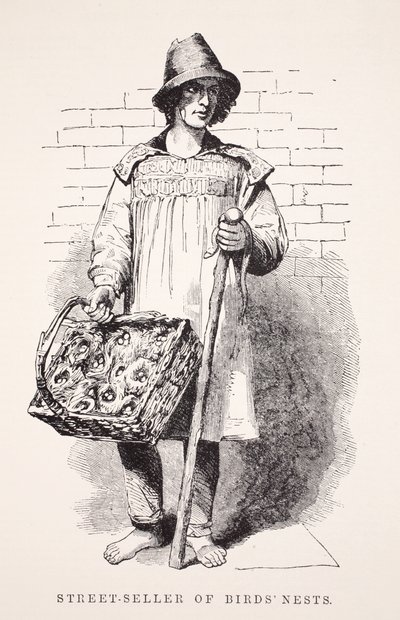 Straßenverkäufer von Vogelnestern, Illustration aus London Labour and London Poor von Henry Mayhew, veröffentlicht 1862 von English School