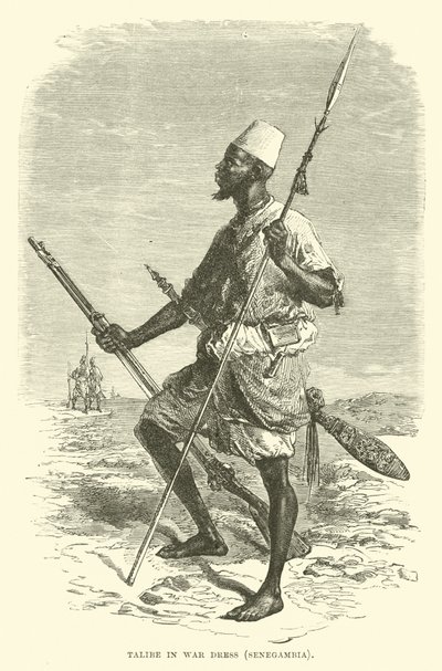 Talibe im Kriegskleid, Senegambia von English School