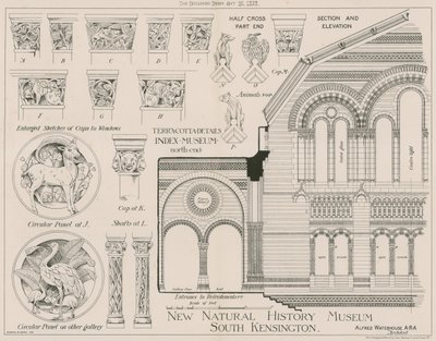 Terrakotta-Details vom neuen Natural History Museum, South Kensington von English School