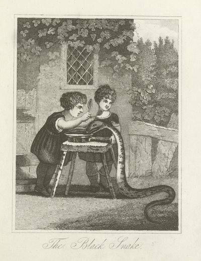 Die schwarze Schlange von English School