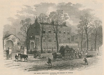 Die Brown Institution, Vauxhall, für Tierkrankheiten von English School