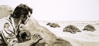 Die Schiffbrüchigen: Schrecken der Schildkröteninsel von English School