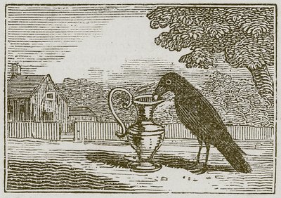 Die Krähe und der Krug (Gravur) von English School