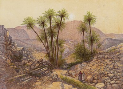 Die Wüste Sinai von English School