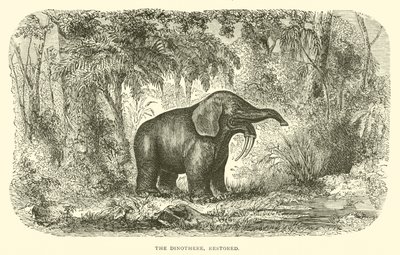 Der Dinotherium, restauriert (Gravur) von English School