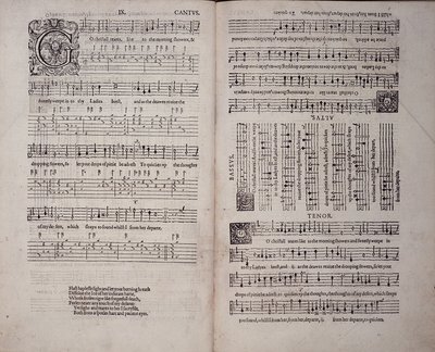 Das erste Buch der Lieder oder Ayres, von John Dowland von English School