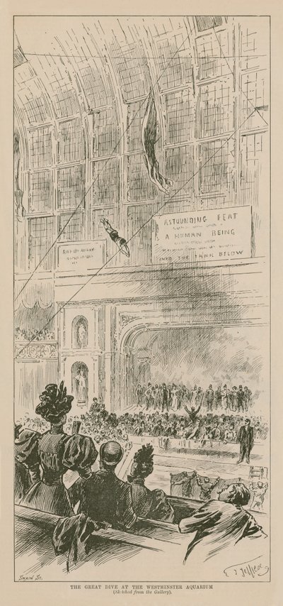 Der große Tauchgang im Westminster Aquarium von English School