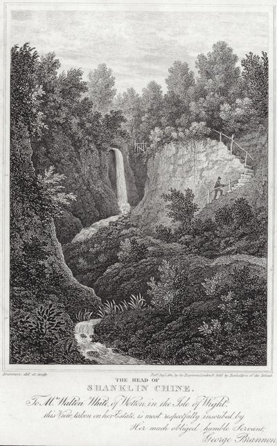Der Kopf von Shanklin Chine von English School