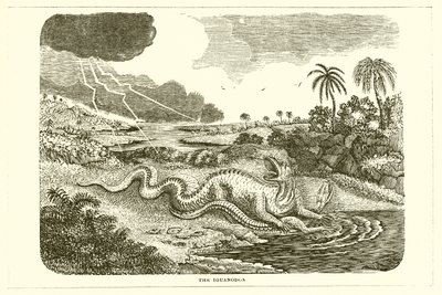 Der Iguanodon von English School