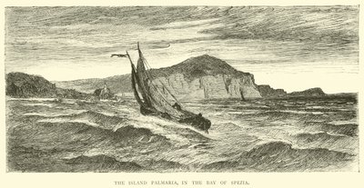 Die Insel Palmaria, in der Bucht von Spezia von English School
