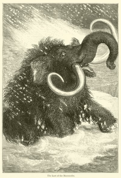 Das letzte der Mammuts (Stich) von English School