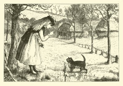 Die faule Katze von English School
