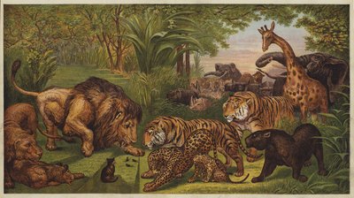 Der Empfang des Löwen (Farblithografie) von English School